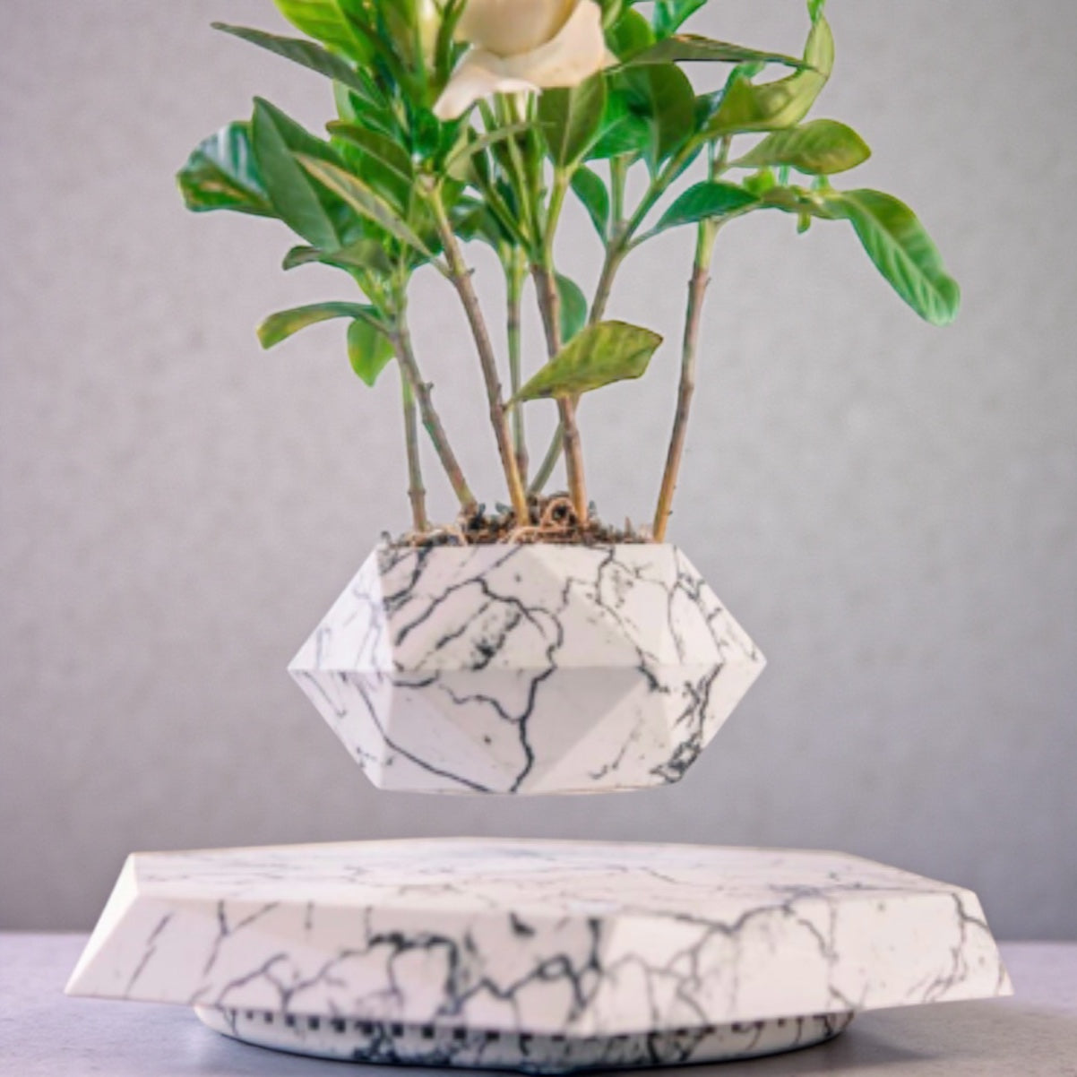 Magnetic Levitation Flower Pot Planter