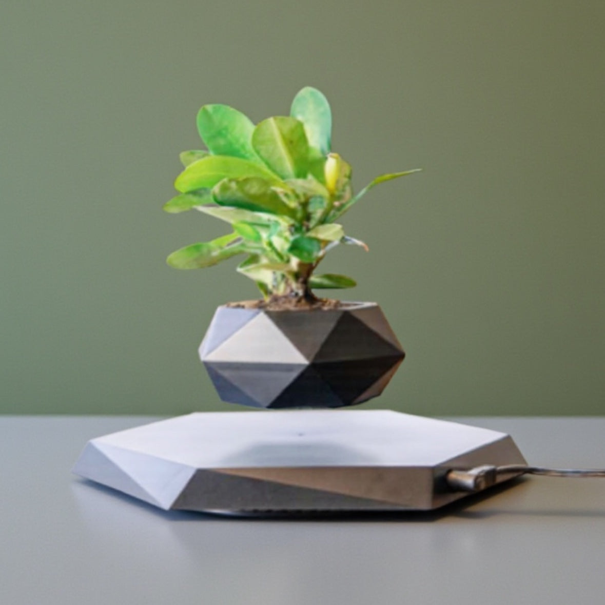 magnetic pot plant Magnetic Levitation Flower Pot Planter – Hang the Moon