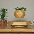 Magnetic Levitation Flower Pot Planter